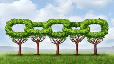 Link İnşası: 9 Yapılması Gereken ve 5 Yapılmaması Gereken